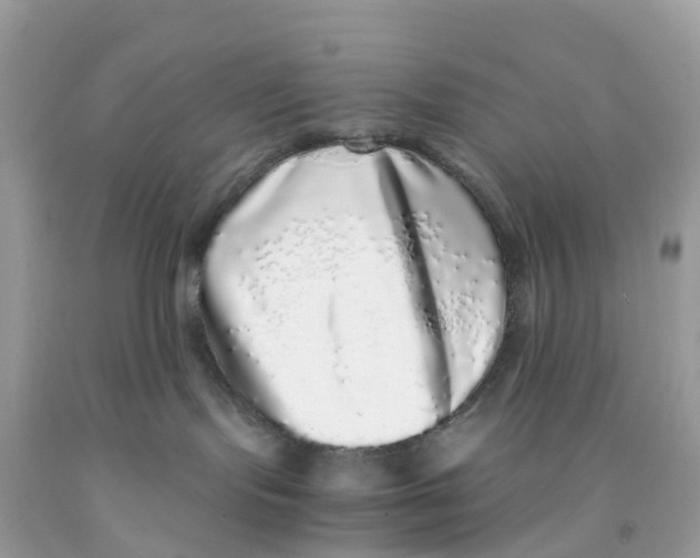 X0000091100095200709041332