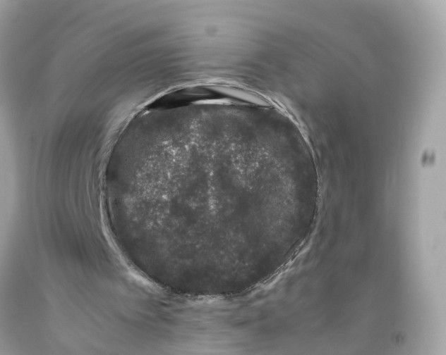 X0000091100097200709041332