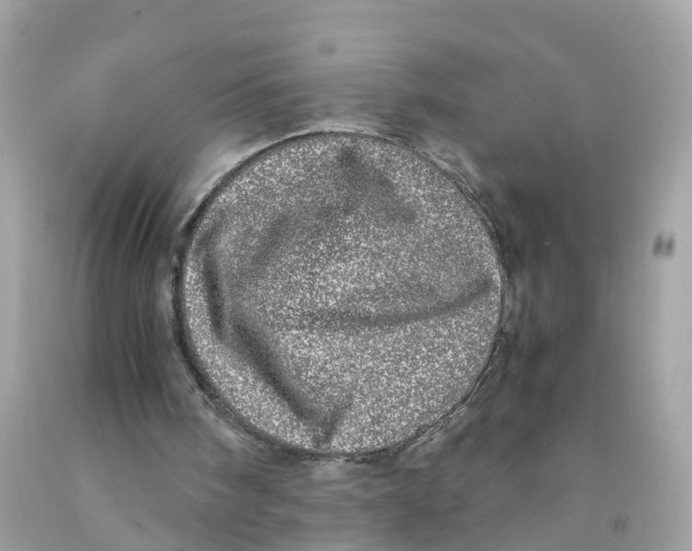 X0000091100098200709041332