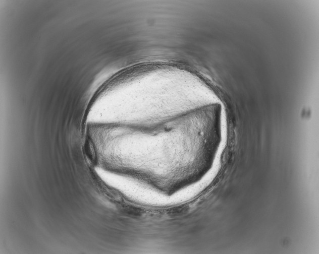 X0000091100099200709041332