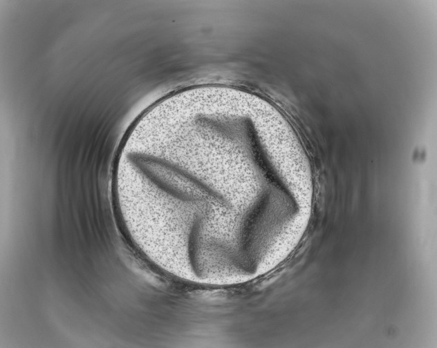 X0000091100100200709041332