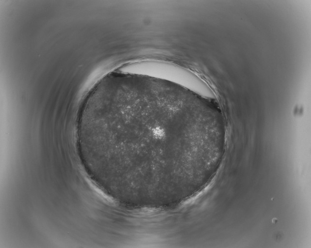 X0000091100101200709041332