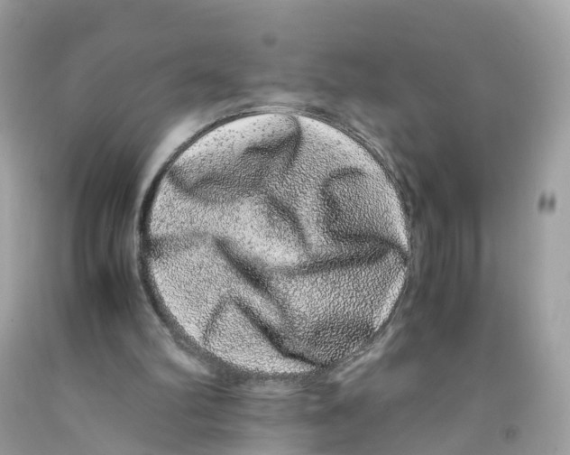 X0000091100102200709041332