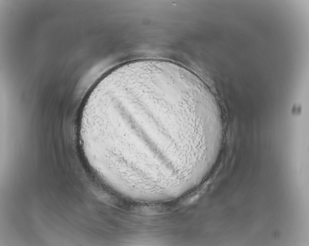 X0000091100103200709041332