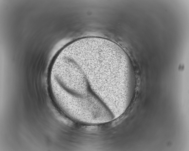 X0000091100104200709041332