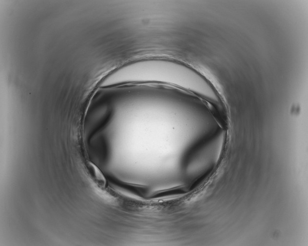 X0000091100105200709041332