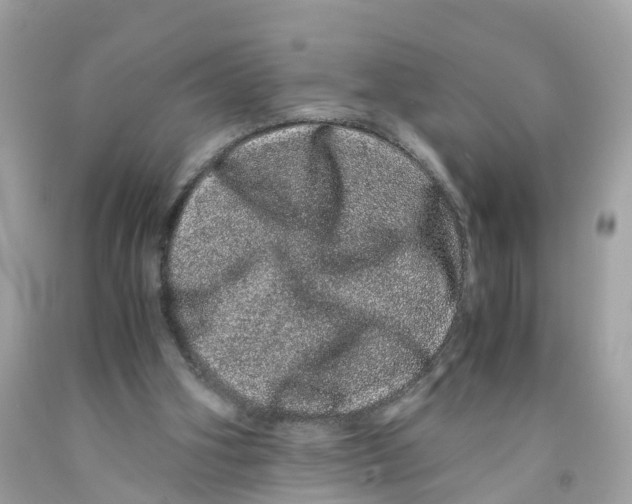 X0000091100106200709041332