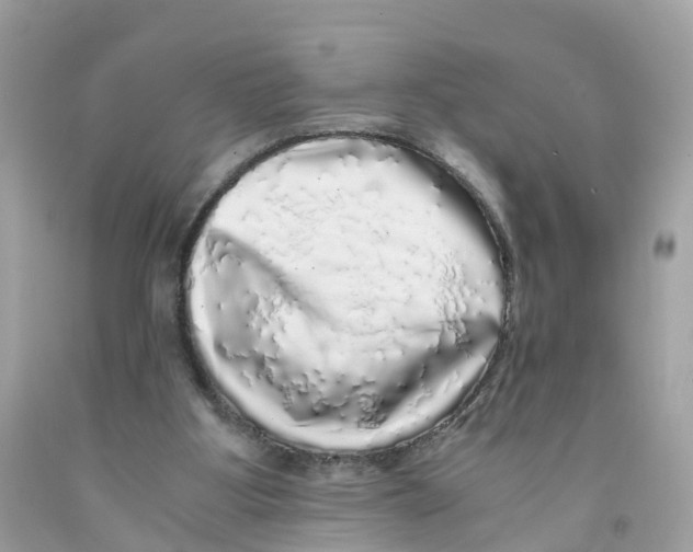 X0000091100107200709041332