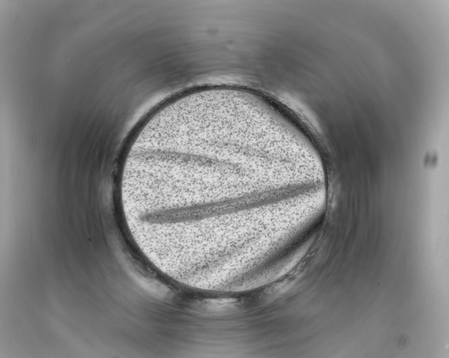 X0000091100108200709041332