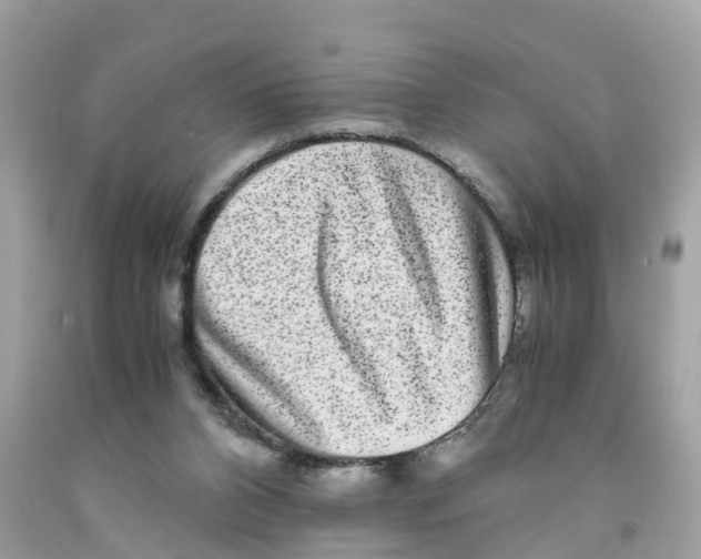 X0000091100112200709041331