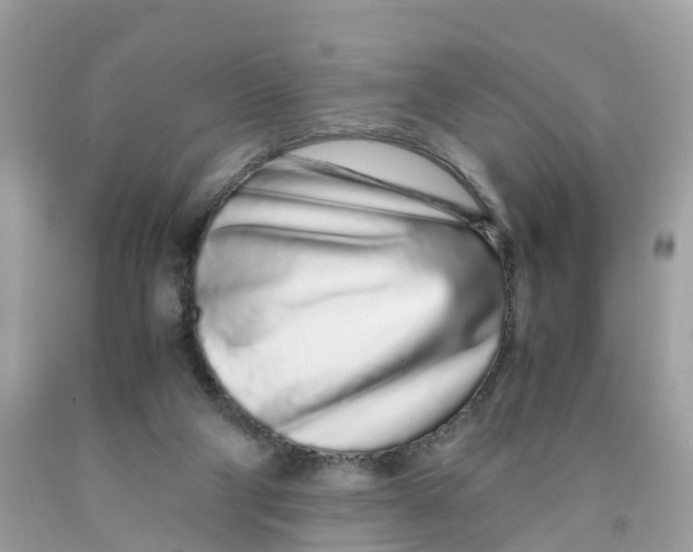 X0000091100114200709041331