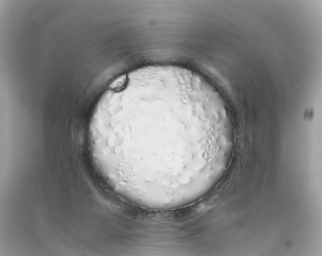 X0000091100115200709041331