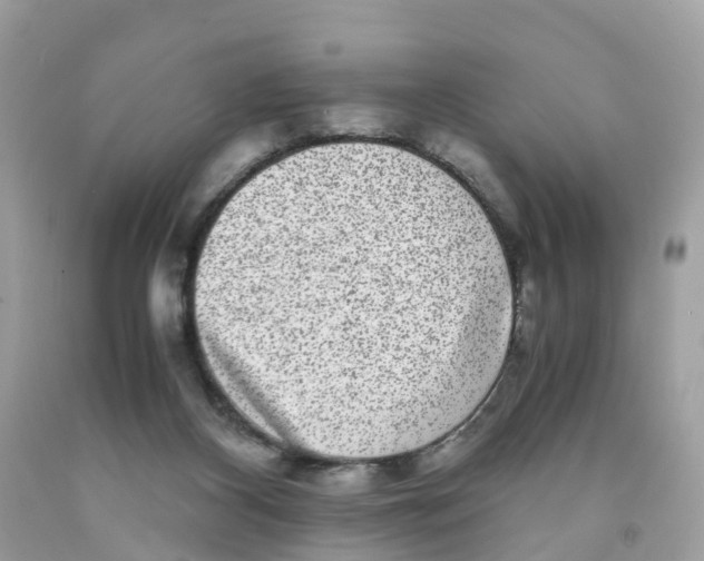 X0000091100116200709041331