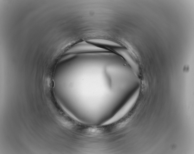 X0000091100117200709041331