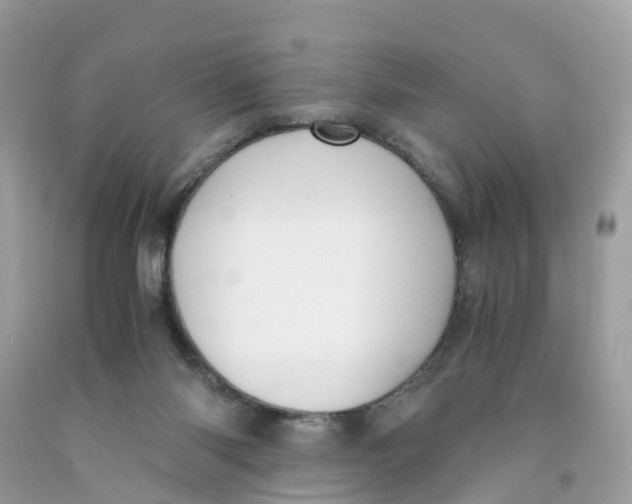 X0000091100118200709041331