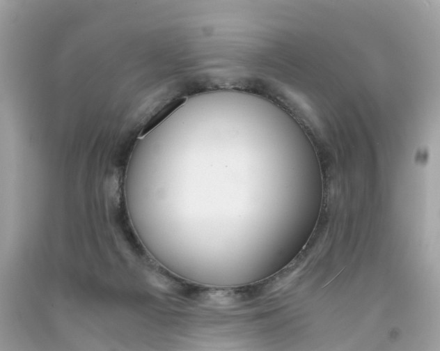 X0000091100121200709041331