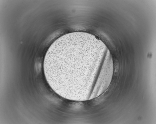 X0000091100124200709041331