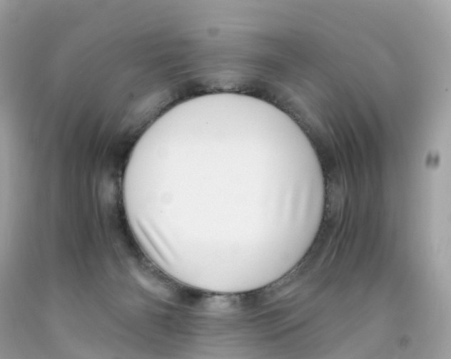 X0000091100126200709041331