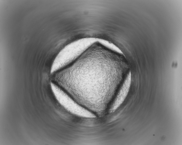 X0000091100127200709041331