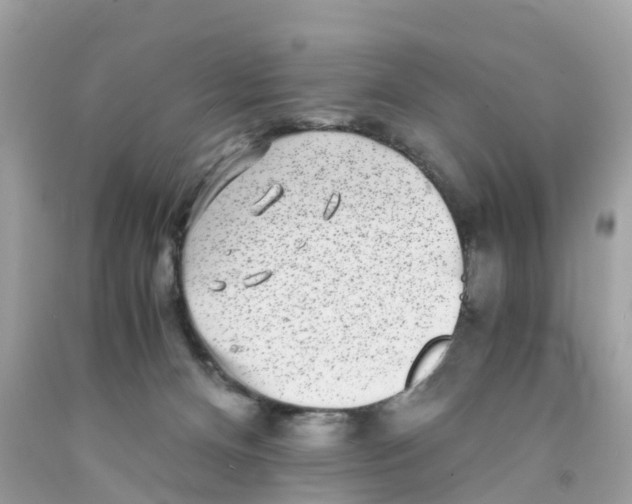 X0000091100128200709041331