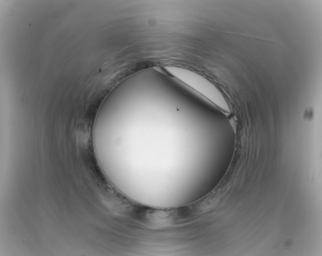 X0000091100129200709041331