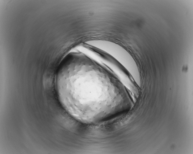 X0000091100131200709041331