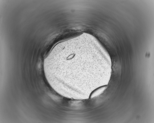 X0000091100132200709041331