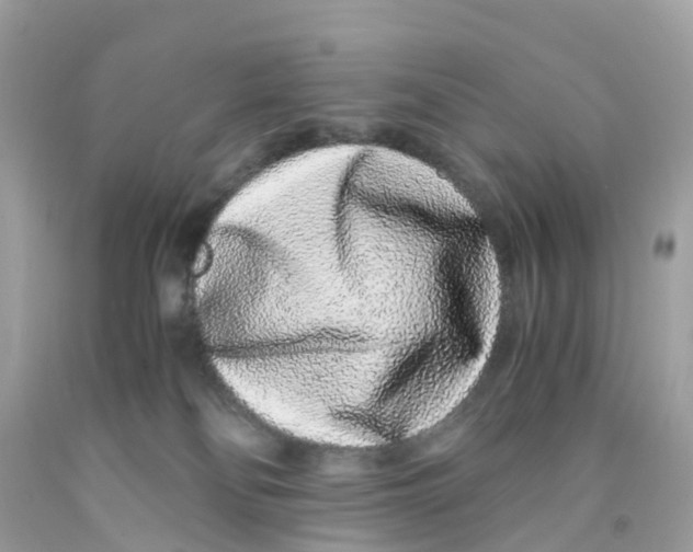 X0000091100134200709041331