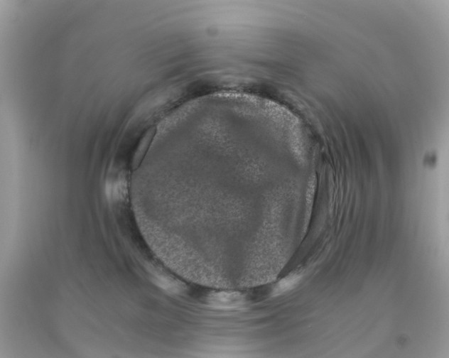 X0000091100137200709041331