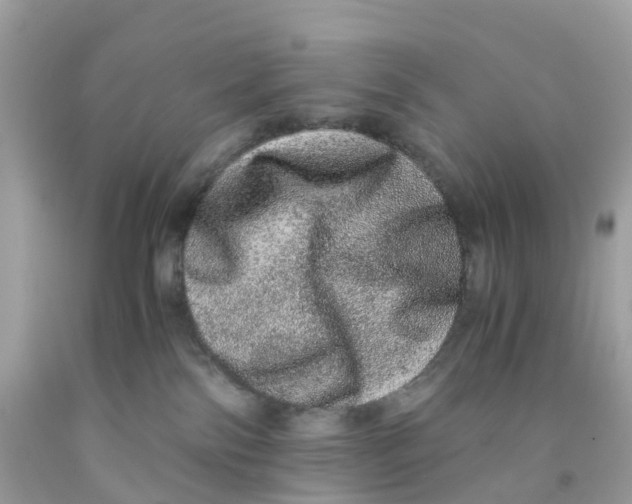 X0000091100138200709041331