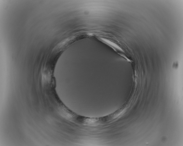 X0000091100139200709041331