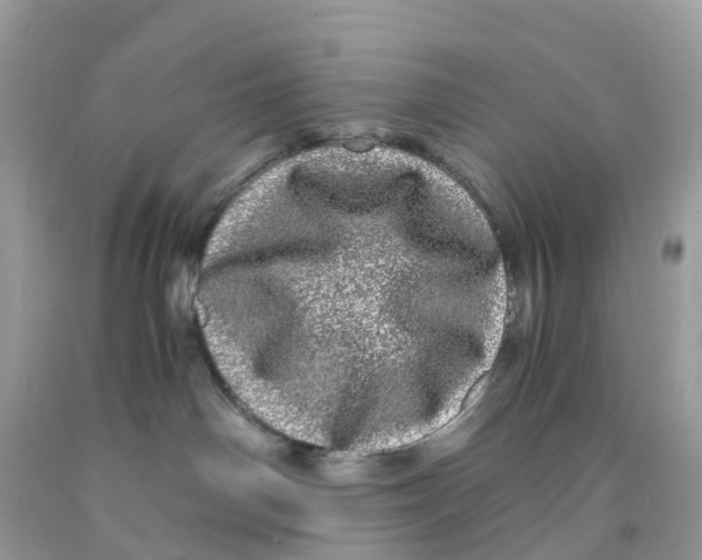 X0000091100142200709041331