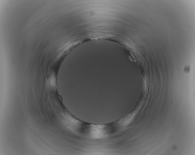 X0000091100143200709041331