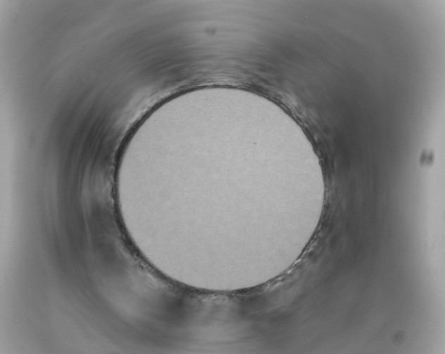 X0000091100146200709041330