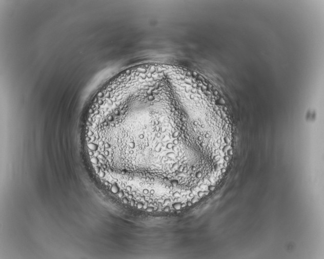 X0000091100149200709041330