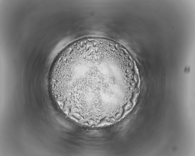 X0000091100151200709041330