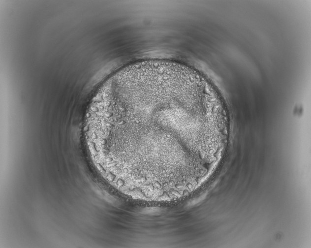 X0000091100153200709041330