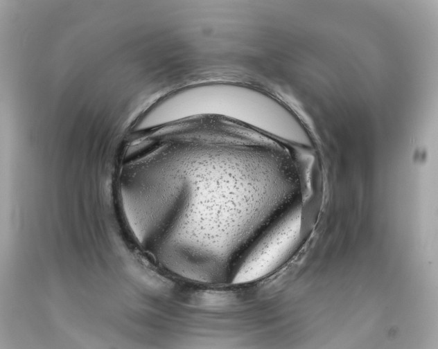 X0000091100154200709041330