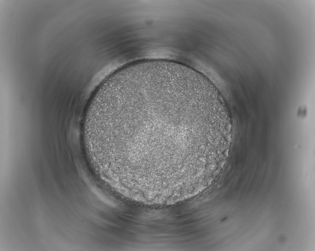 X0000091100155200709041330