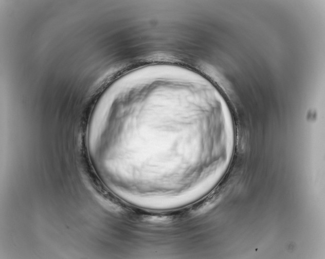 X0000091100157200709041330