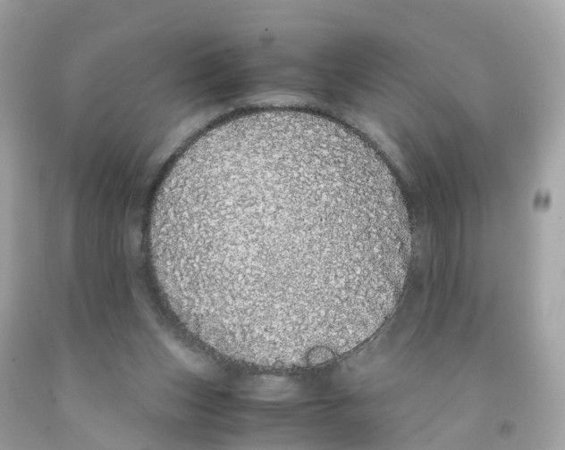 X0000091100159200709041330