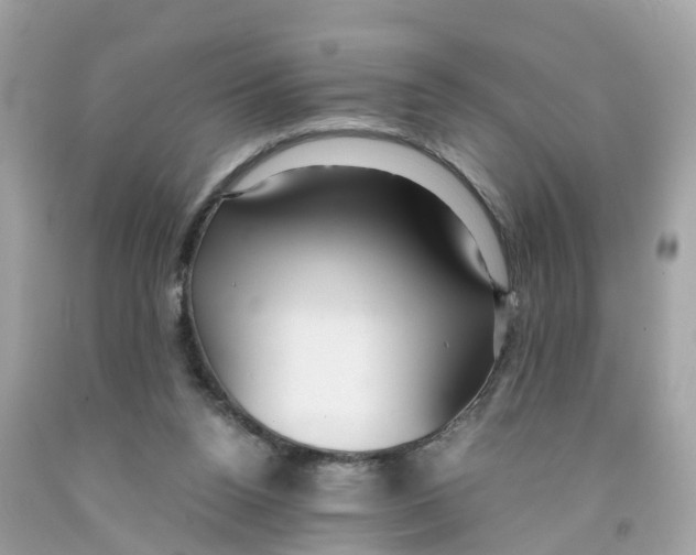 X0000091100160200709041331