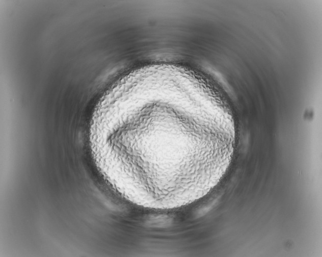 X0000091100161200709041331