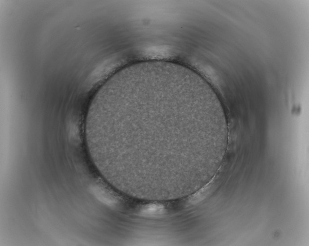 X0000091100162200709041331