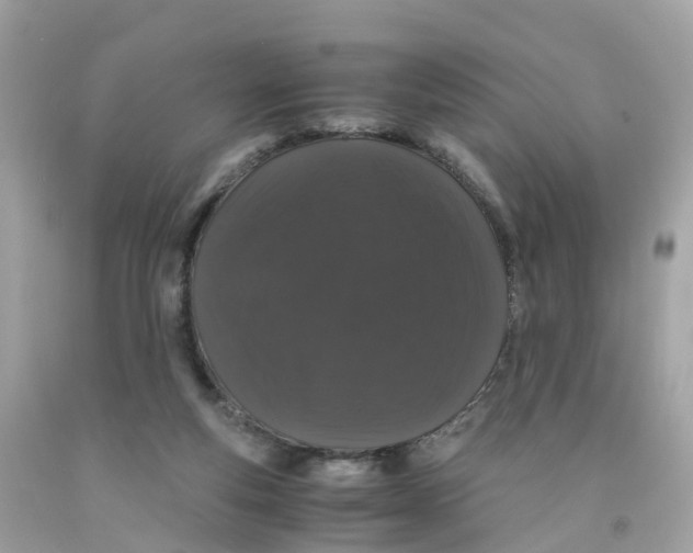 X0000091100163200709041331