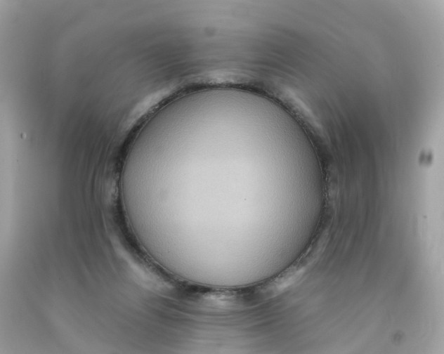 X0000091100164200709041331