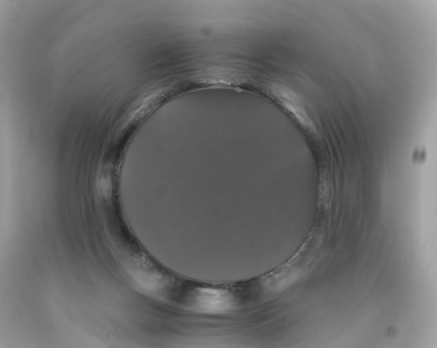 X0000091100167200709041331