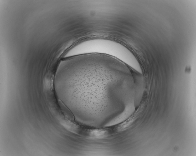 X0000091100168200709041331