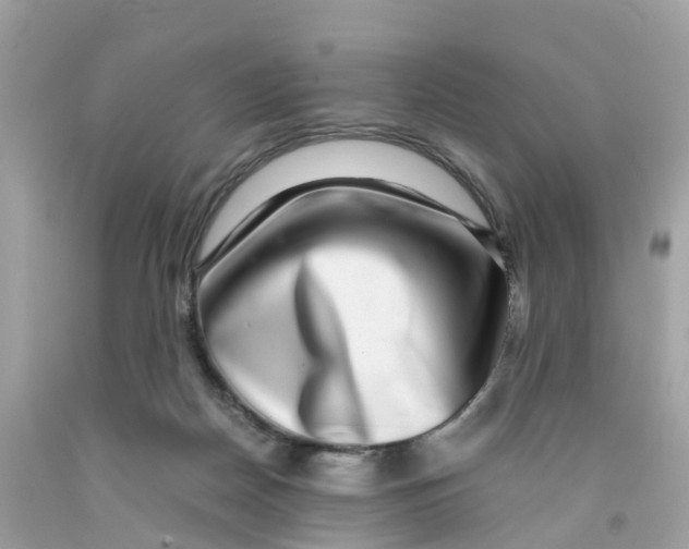 X0000091100170200709041331