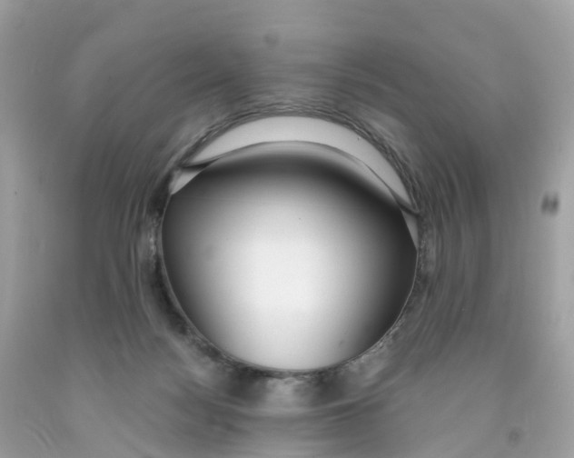 X0000091100172200709041331